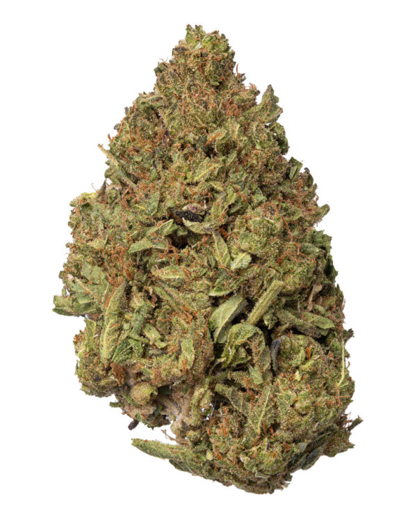 $600 THCa Pounds | 3 Strains To Choose From - Image 2
