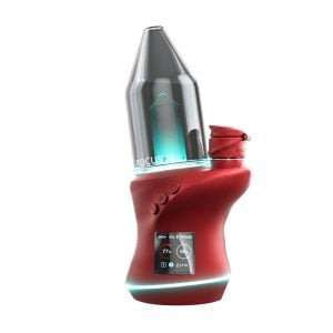 Focus V - Carta 2 - Red