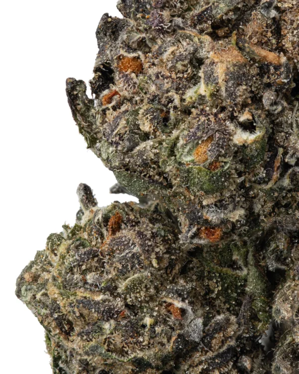 $850/lb Exotic THCa Smalls | 8+ Strains | Excellent Quality - Image 3